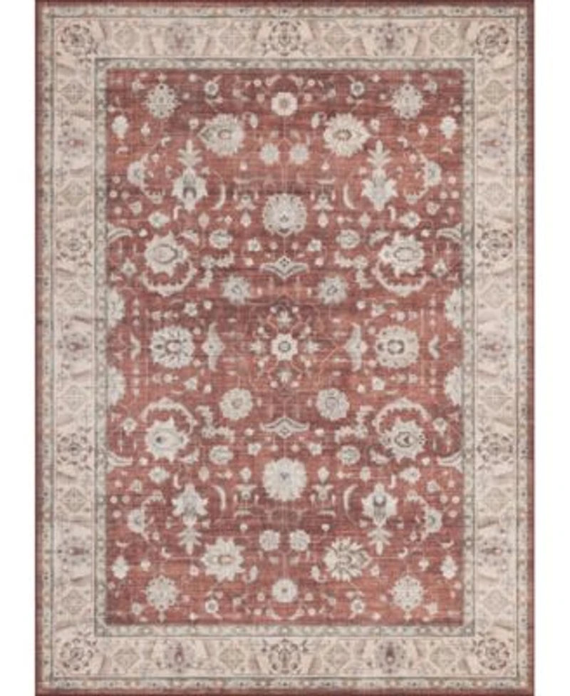 Mink Home Homewell Machine Washable Ham4008 Rug Collection