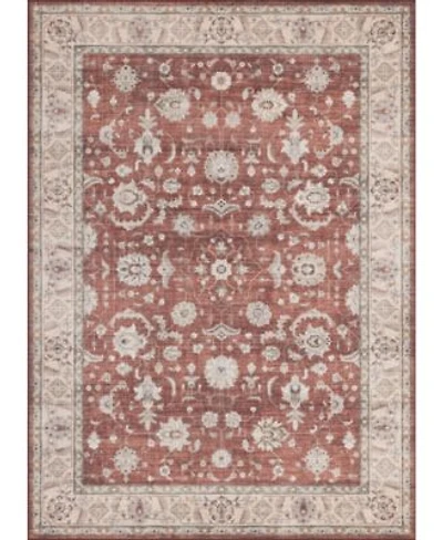 Mink Home Homewell Machine Washable Ham4008 Rug Collection