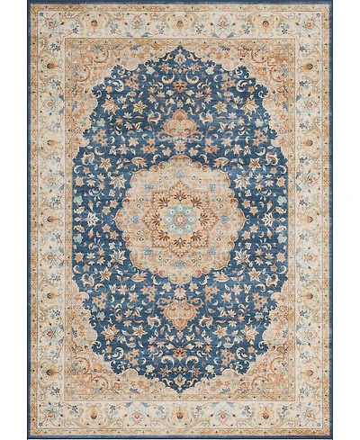 Mink Home Homewell Machine Washable HAM4003 9'x12' Area Rug