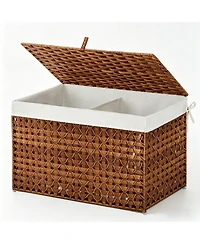 homfan Pe Rattan Storage Basket with Lid and Removable Liner, Divided Large Capacity Organizer Bin, for Bedroom, Living Room, Bathroom