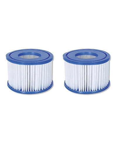 Coleman SaluSpa 90352E Pool Filter Pump Type Vi Replacement Cartridge (2 Pack)