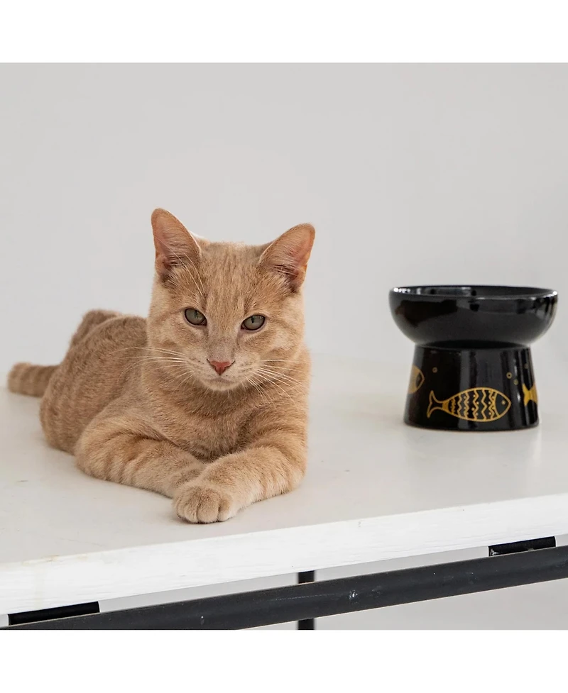 Dexypaws Elevated Cat Bowl Gold Fish