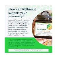 Youtheory Immune Plus Daily Wellness Vegetarian Immune Support Supplement with Vitamin C, Vitamin D3 and Zinc 60 Vegetarian Capsules