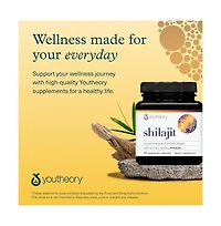 Youtheory Shilajit Advanced Capsule 90 vegetarian capsules