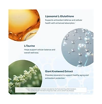 Youtheory Liposomal Glutathione with Resveritrol, Vegetarian, Count