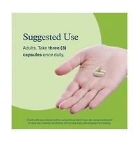 Youtheory Mushroom Stress Complex, Full-Spectrum Mushrrom with L-Theanine, 60 Vegetarian Capsules