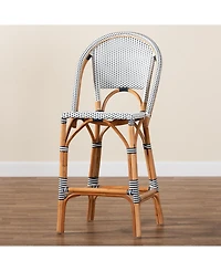 bali & pari Genica 44.9" Rattan Classic French Bar Stool