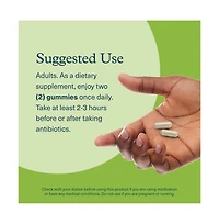 Youtheory Spore Probiotic Gut and Digestive Support Contains Bacillus Coagulans Dairy, Soy, and Gluten Free 60 Gummies