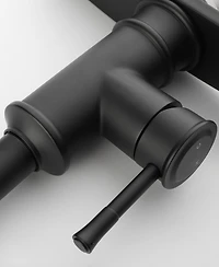 Thirtypeachy Single Handle High Arc Pull-Down Kitchen Faucet with 3-Function Sprayer, 360degree(s) Swivel, Easy Install