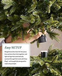 Balsam Hill 7 ft Pre-Lit Silverado Slim Tree