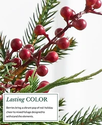 Balsam Hill 3 ft Outdoor Berry Pre-Lit Potted Tree
