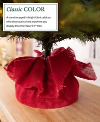 Balsam Hill 2.5 ft Fraser Fir Pre-Lit Tabletop Tree