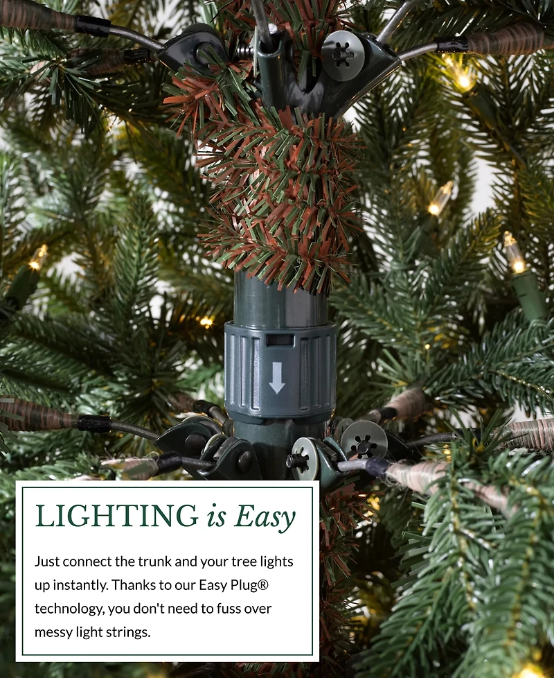 Balsam Hill 6.5' Pre-Lit Fir Ledc Artificial Christmas Tree