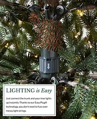 Balsam Hill 6.5' Pre-Lit Fir Ledc Artificial Christmas Tree