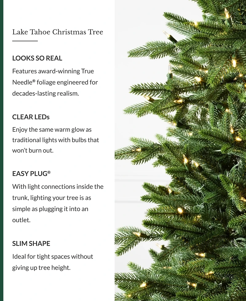 Balsam Hill Lake Tahoe 9' Tree