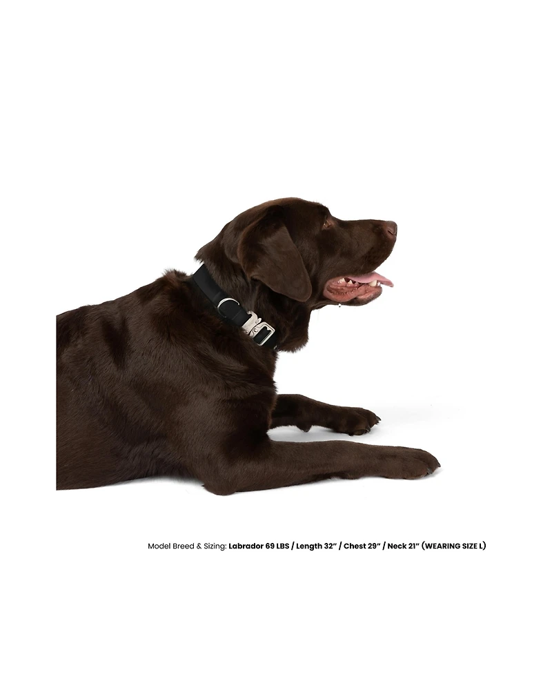 Nandog The Waterproof Poly-Flex Sport Dog Collar