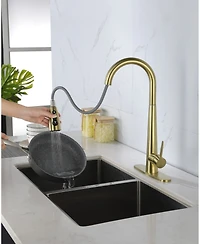 Thirtypeachy Single Handle High Arc Pull-Down Kitchen Faucet, Stainless Steel with 3-Function Sprayer and Deck Plate