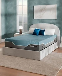 Molecule Reflex Hybrid Elite Plush Tight Top Mattress In A Box Collection