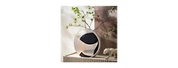 Z Gallerie Daria Vase