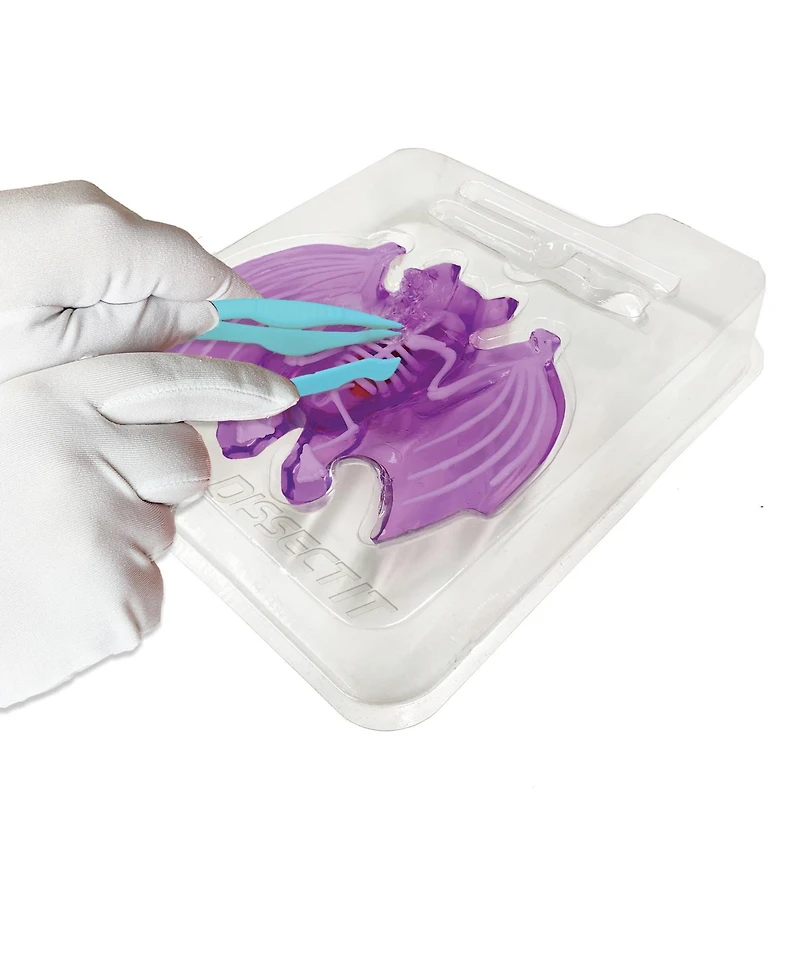 Dissect-It Bat Lab Realistic Dissection Kit, Ages 6+