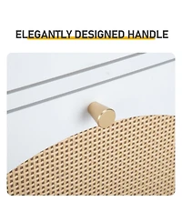 Slickblue Entryway Rattan Shoe Cabinet with 1 Drawer and 2 Flip-Down Drawers