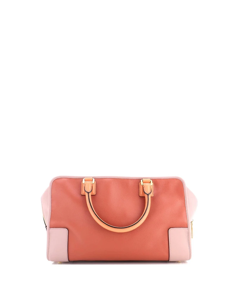 Pre-Owned Loewe 36 Amazona Bag Leather