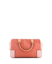 Pre-Owned Loewe 36 Amazona Bag Leather