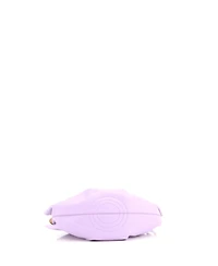 Pre-Owned Loewe Small Paseo Bag Shiny Nappa Calfskin