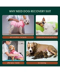 Cotton-Spandex Post-Surgery Recovery Bodysuit Onesie for Dogs