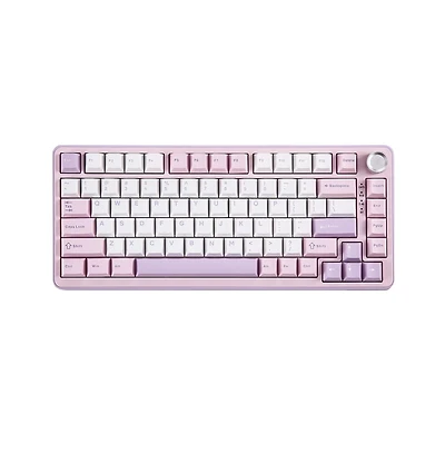 Ipason B75 Pro Wireless Mechanical Gaming Keyboard for Pc