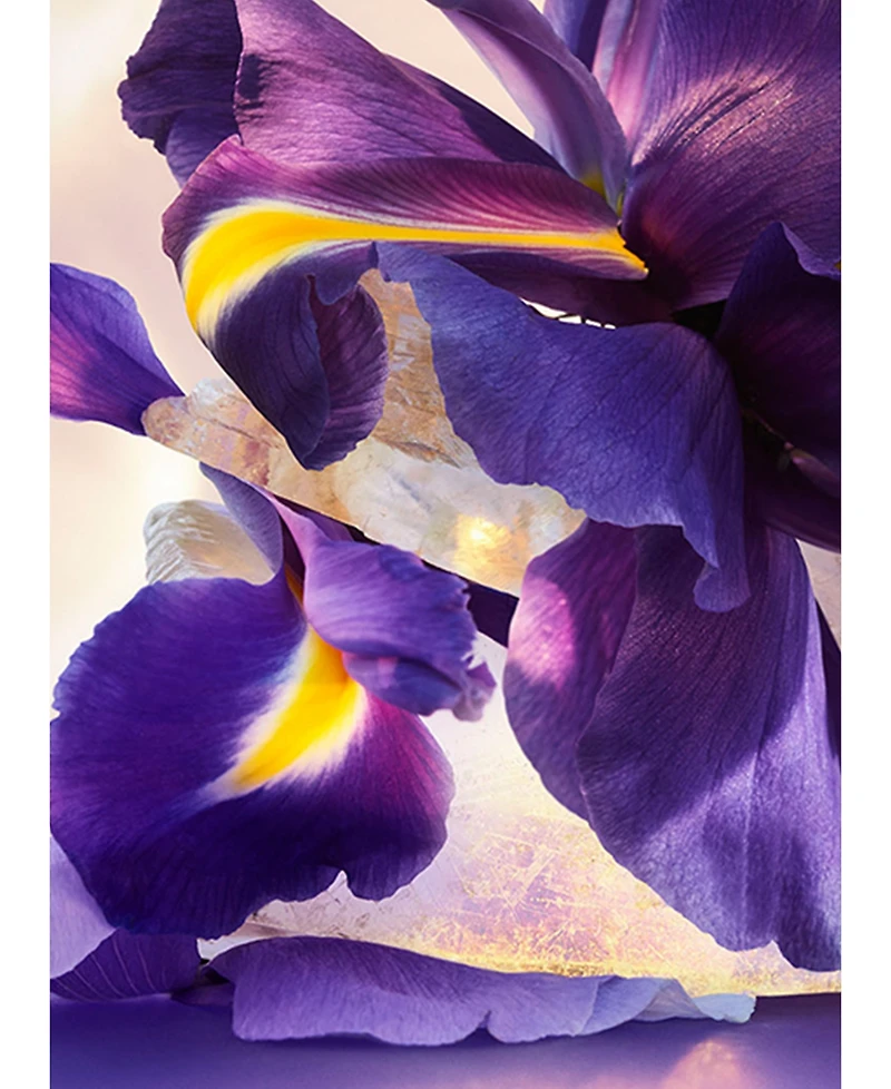 Bvlgari Omnia Amethyste Eau de Parfum Spray, 3.4 oz.
