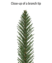 Puleo International 5' Pre-Lit Alpine Pencil Christmas Tree