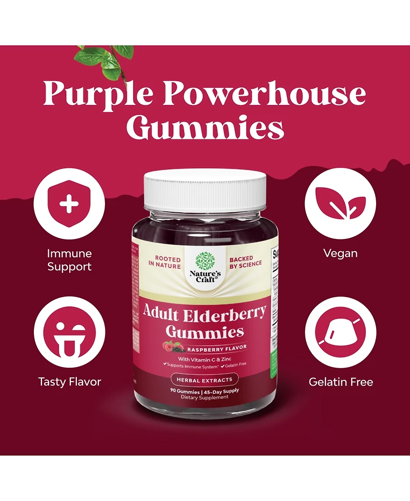 Nature's Craft Elderberry Gummies with Vitamin C and Zinc | Sambucus Elderberry Supplement | 90 Count