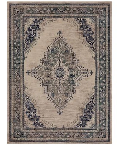 Closeout Karastan Cosmopolitan Armitage Indigo Area Rug Collection