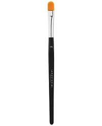 Anastasia Beverly Hills Brush 18
