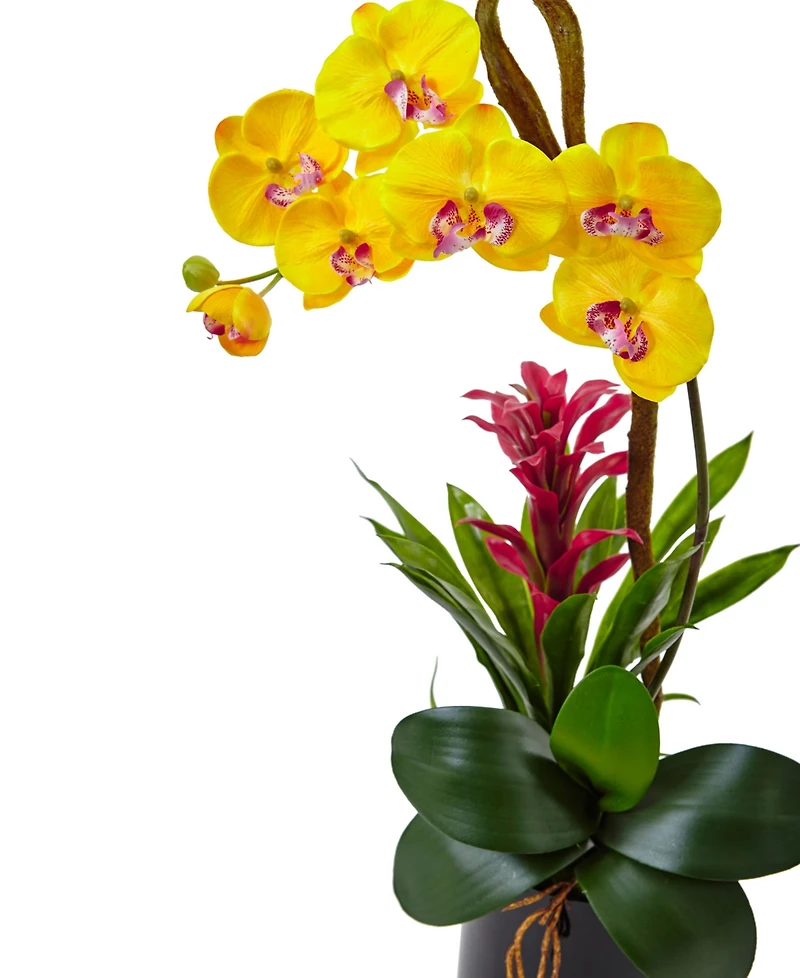 Nearly Natural Orchid & Bromeliad Artificial Arrangement in Glossy Black Cylinder Vase