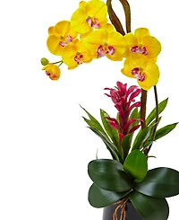 Nearly Natural Orchid & Bromeliad Artificial Arrangement in Glossy Black Cylinder Vase