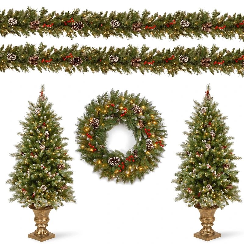 National Tree Company Frosted Berry Assortment- 2x 4' Entrance Trees with Clear Lights + 24" Wreath with Warm White Battery Operated Lights w/Timer +