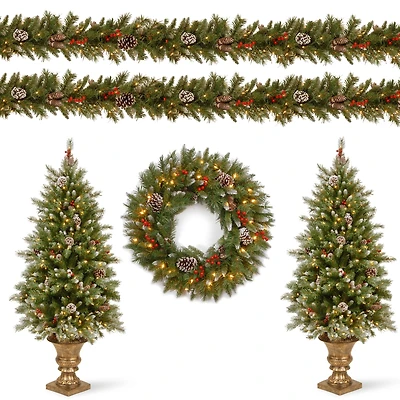 National Tree Company Frosted Berry Assortment- 2x 4' Entrance Trees with Clear Lights + 24" Wreath with Warm White Battery Operated Lights w/Timer +