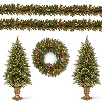 National Tree Company Frosted Berry Assortment- 2x 4' Entrance Trees with Clear Lights + 24" Wreath with Warm White Battery Operated Lights w/Timer +