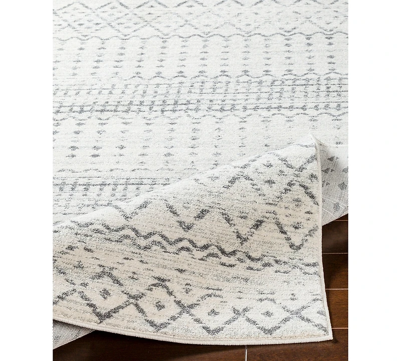 Livabliss Harput Hap-1097 Charcoal 2'7" x 7'3" Runner Area Rug