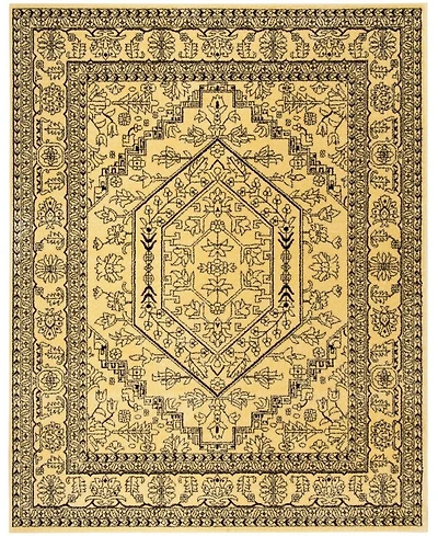 Safavieh Adirondack 8' x 10' Area Rug