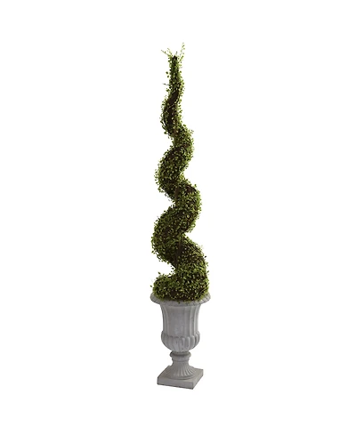 Nearly Natural Mohlenbechia Spiral Tree with Decorative Urn