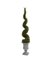 Nearly Natural Mohlenbechia Spiral Tree with Decorative Urn