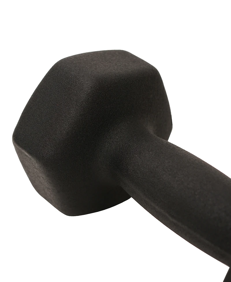 Sunny Health & Fitness Neoprene Dumbbell, 10LBs (Pair)