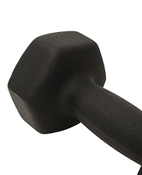 Sunny Health & Fitness Neoprene Dumbbell, 10LBs (Pair)