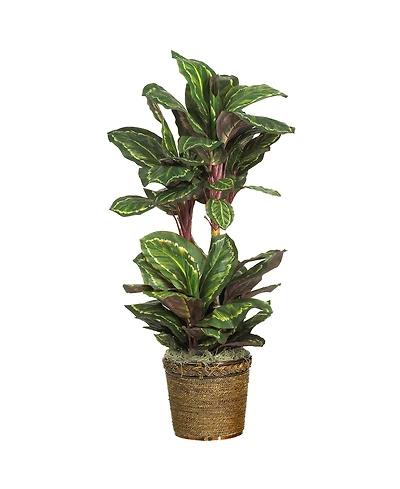 Nearly Natural 45" Maranta Silk Plant