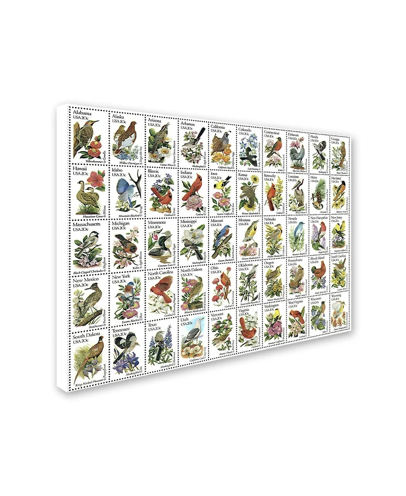 Vintage Apple Collection '50 Birds' Canvas Art - 14" x 19"