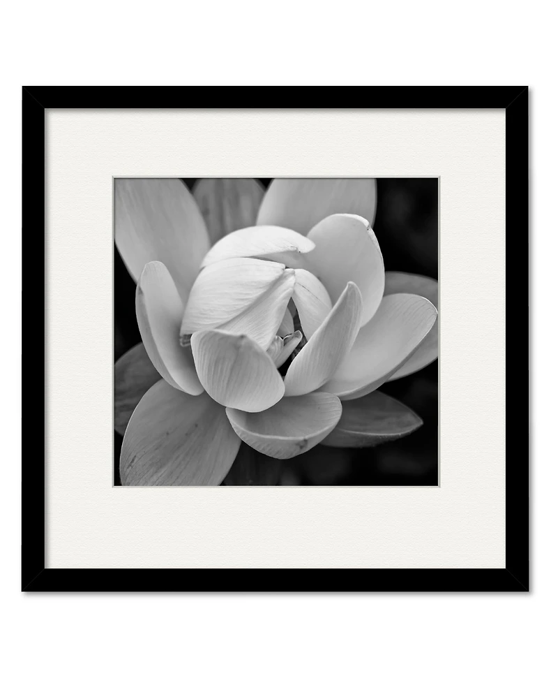 Courtside Market Giardia 16" x 16" Framed and Matted Art