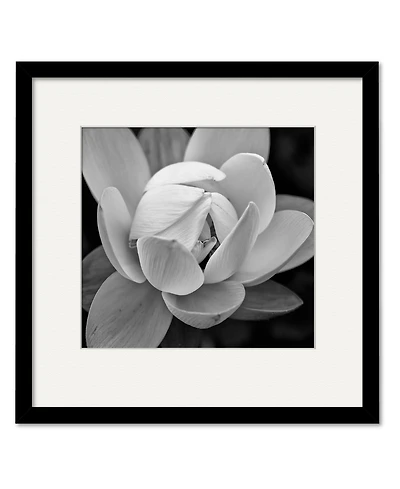 Courtside Market Giardia 16" x 16" Framed and Matted Art